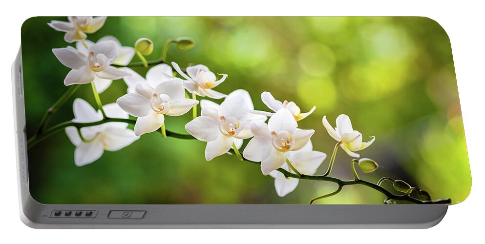 Background Portable Battery Charger featuring the photograph White Orchid Flowers #3 by Raul Rodriguez