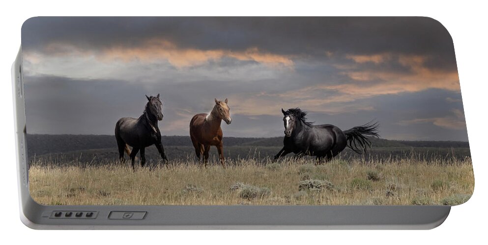 Horse Portable Battery Charger featuring the photograph Wild Horses #31 by Laura Terriere