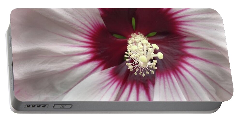 Flowers Portable Battery Charger featuring the photograph 3D shot by Jean Wolfrum