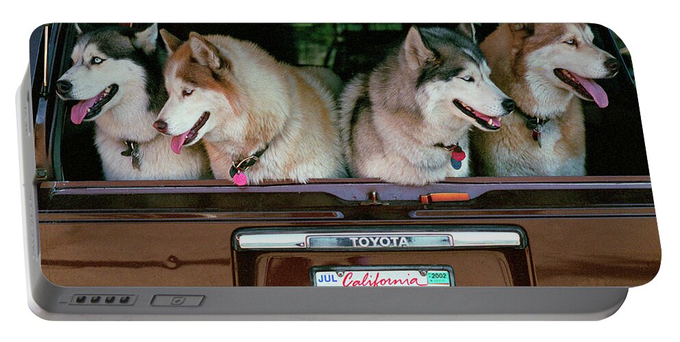 Four Huskies Portable Battery Charger featuring the photograph 4 Huskies by Bonnie Colgan