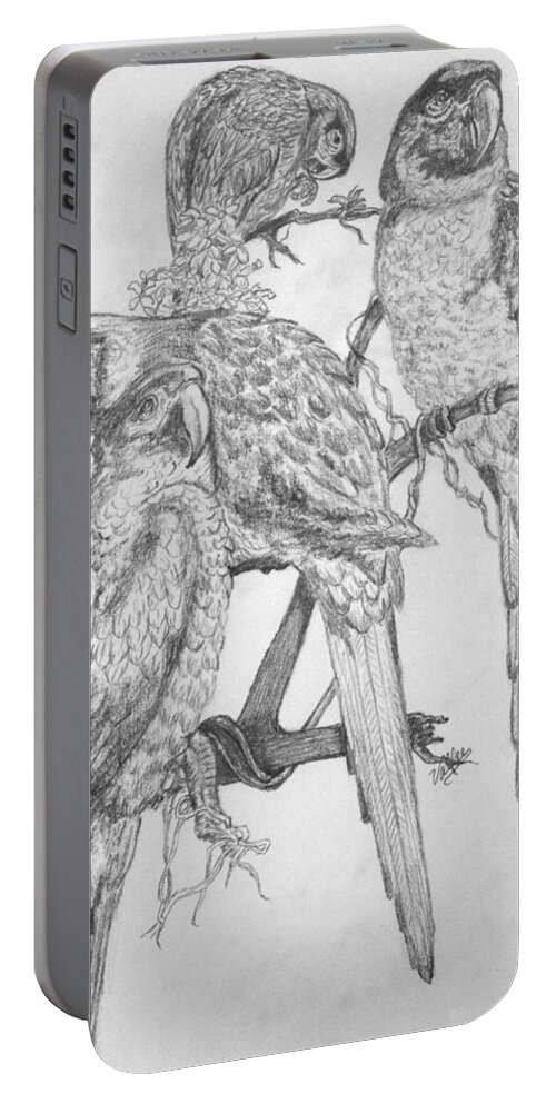 Parrots Portable Battery Charger featuring the drawing 4 Parrots by Vallee Johnson