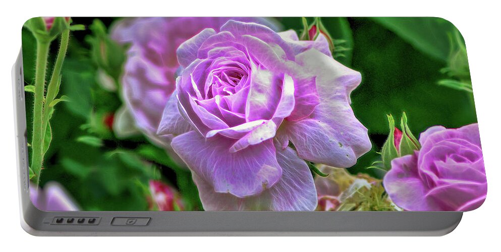 Pink Rose Portable Battery Charger featuring the photograph Pink Rose at Botanical Gardens #5 by Cordia Murphy