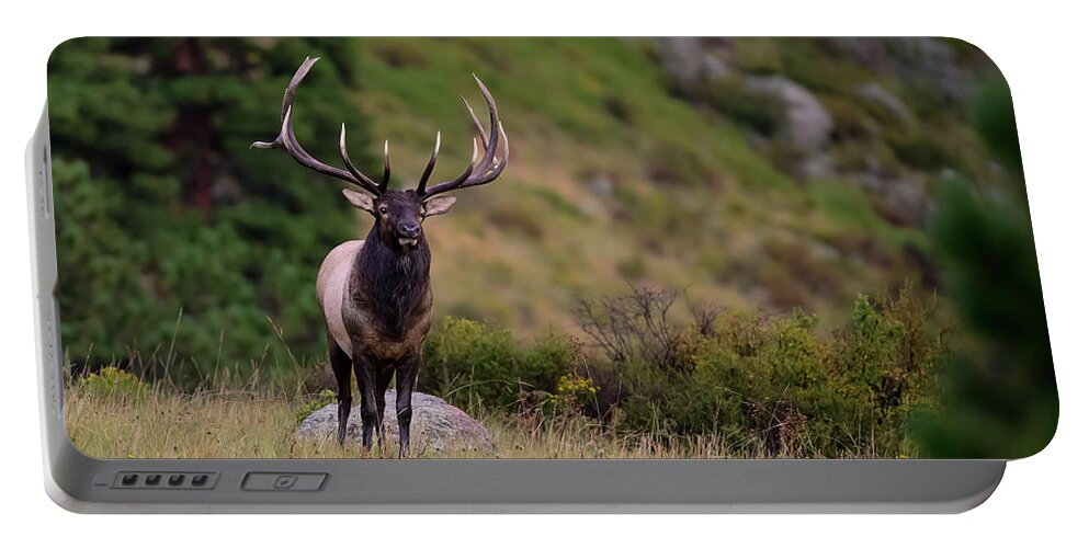 Rocky Portable Battery Charger featuring the photograph Rocky Mountain Bull Elk #4 by Gary Langley