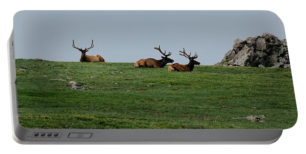 Co Portable Battery Charger featuring the photograph Rocky Mountain National Park #5 by Doug Wittrock