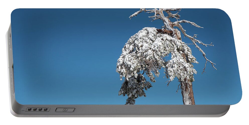 Single Tree Portable Battery Charger featuring the photograph Winter landscape in snowy mountains. frozen snowy lonely fir trees against blue sky. by Michalakis Ppalis