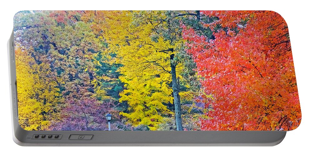 Autumn In Thornapple River Area In Grand Rapids Portable Battery Charger featuring the photograph Autumn in Thornapple River Area in Grand Rapids, Michigan by Ruth Hager
