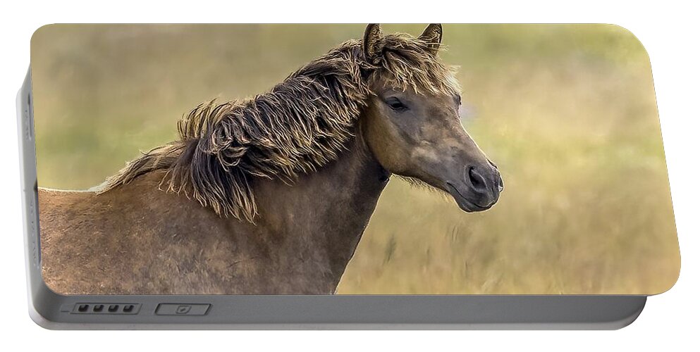 Horse Portable Battery Charger featuring the photograph Wild Horses #45 by Laura Terriere