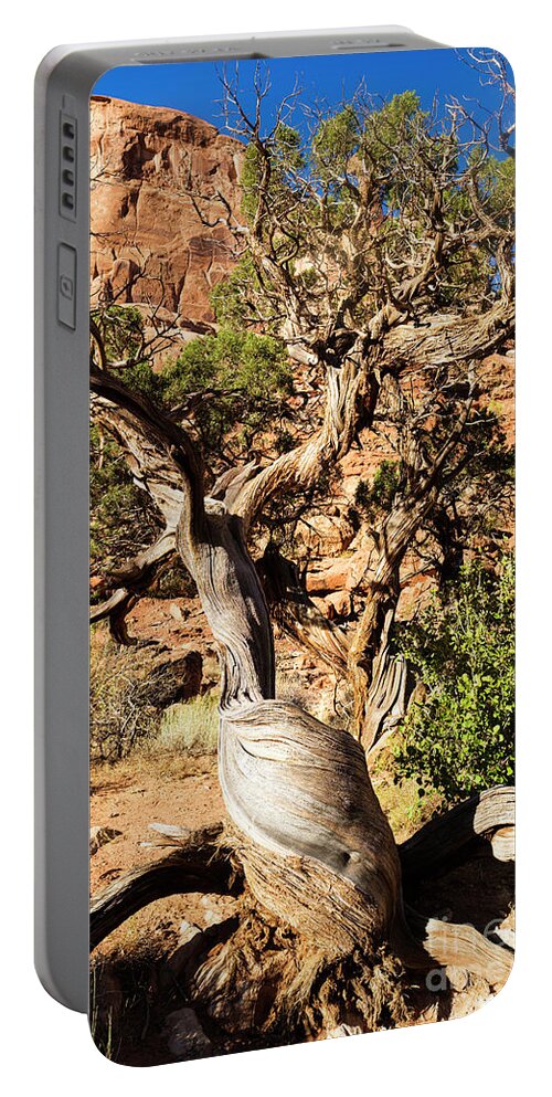 Arches National Park Portable Battery Charger featuring the photograph Arches National Park #47 by Raul Rodriguez