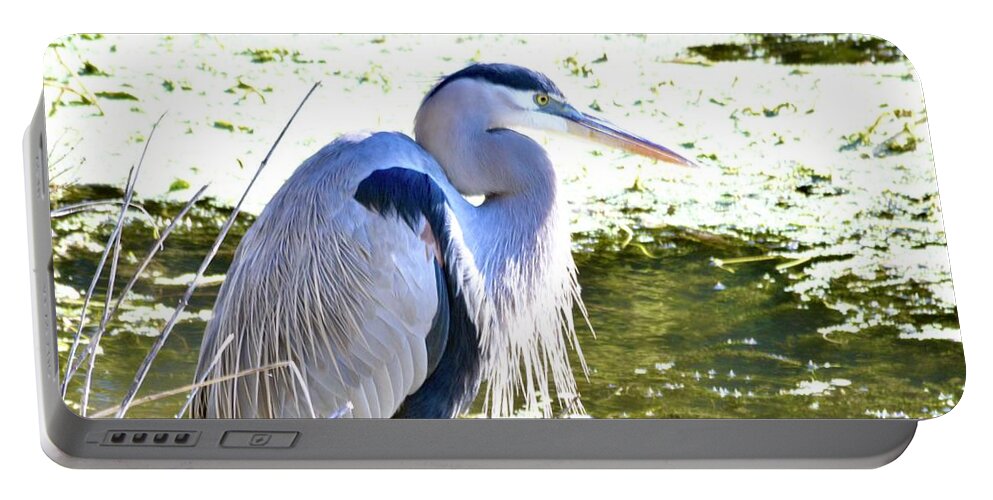 Great Blue Heron Portable Battery Charger featuring the photograph Great Blue Heron #5 by Warren Thompson