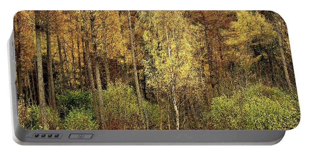 50 Shades Gold Golden Autumn Wonderland Fall Smart Uk Woodland Woods Forest Trees Foliage Leaves Beautiful Birch Crown Beauty Landscape Rich Colors Yellow Delightful Magnificent Mindfulness Serenity Inspirational Serene Tranquil Tranquillity Magic Charming Atmospheric Aesthetic Attractive Picturesque Scenery Glorious Impressionistic Impressive Pleasing Stimulating Magical Vivid Trunks Effective Green Bushes Delicate Gentle Joy Enjoyable Relaxing Pretty Uplifting Poetic Orange Red Fantastic Tale Portable Battery Charger featuring the photograph Fifty Shades Of Gold by Tatiana Bogracheva