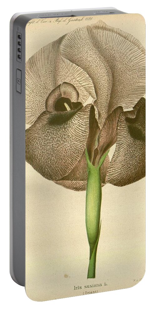 Flower Portable Battery Charger featuring the mixed media Beautiful Vintage Flower #597 by World Art Collective