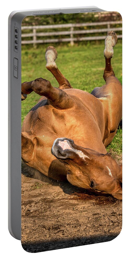 Airey Portable Battery Charger featuring the photograph Autumn Horses of Uxbridge by Dee Potter