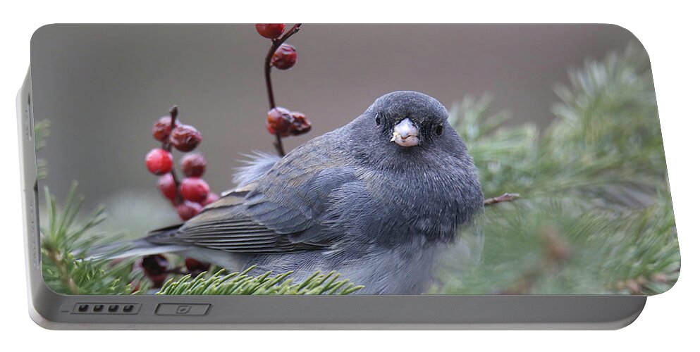 Bird Portable Battery Charger featuring the photograph Dark Eyed Junco #6 by Brook Burling