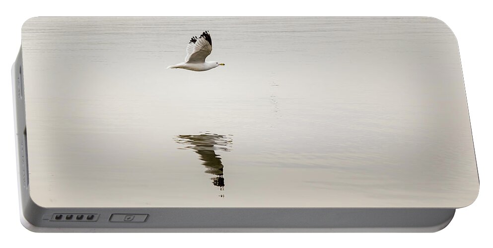 Larus Delawarensis Portable Battery Charger featuring the photograph Ring-billed Gull in flight #6 by SAURAVphoto Online Store