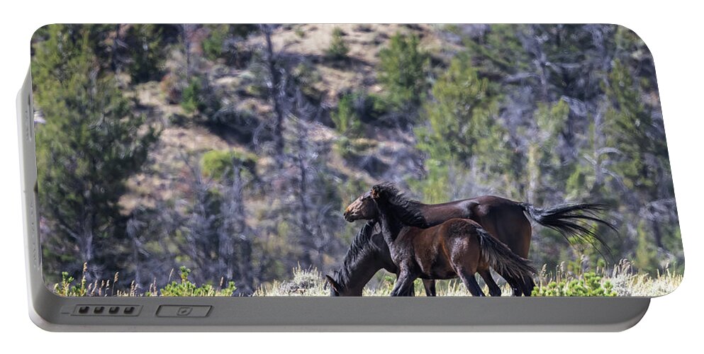 Horse Portable Battery Charger featuring the photograph Wild Horses #6 by Laura Terriere