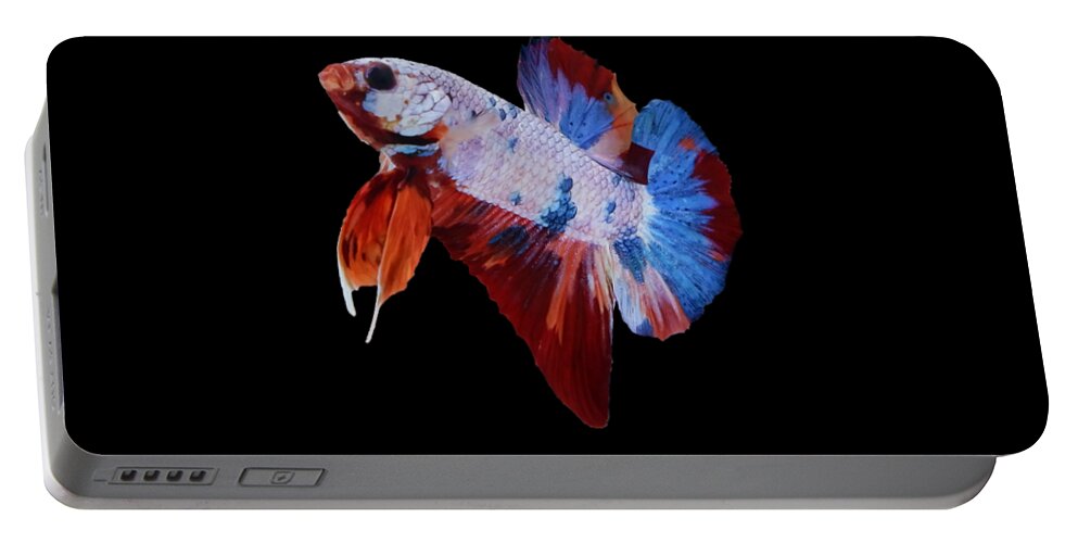 Betta Portable Battery Charger featuring the photograph Multicolor Betta Fish by Sambel Pedes