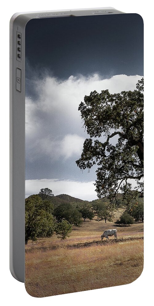  Portable Battery Charger featuring the photograph Santa Margarita #8 by Lars Mikkelsen