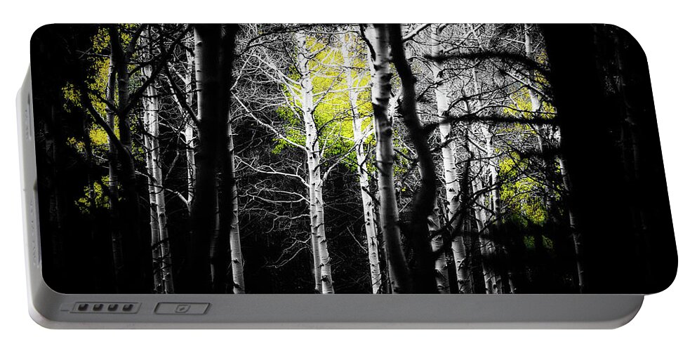 Co Portable Battery Charger featuring the photograph Aspens #8 by Doug Wittrock