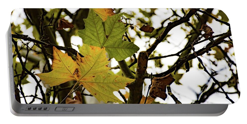Autumn Portable Battery Charger featuring the photograph Autumn #8 by Robert Grac