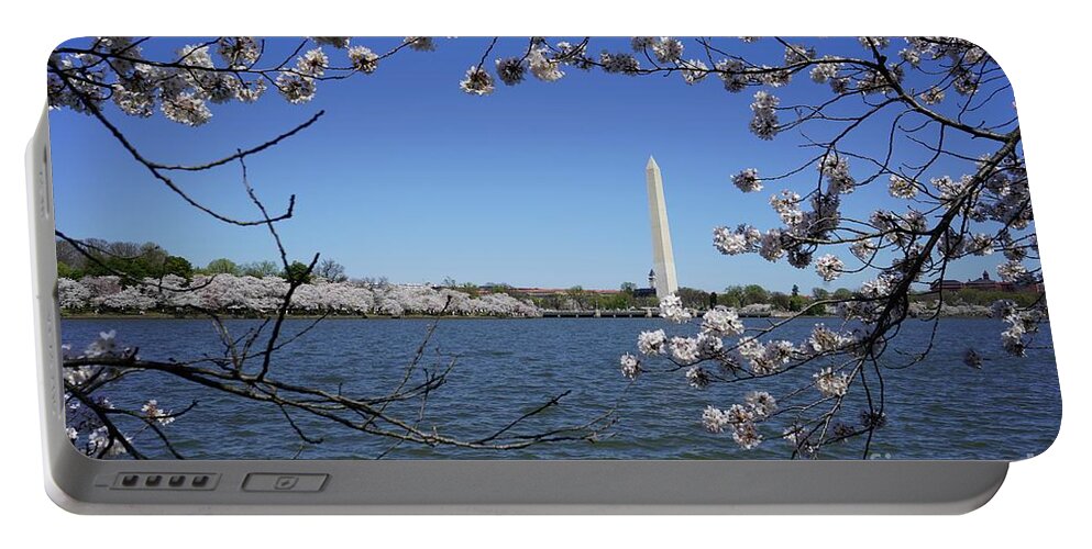  Portable Battery Charger featuring the photograph Cherry Blossoms Washington DC #8 by Annamaria Frost
