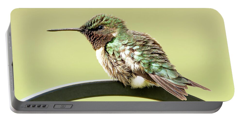 Hummingbird Portable Battery Charger featuring the photograph Hummingbird #9 by Holden The Moment
