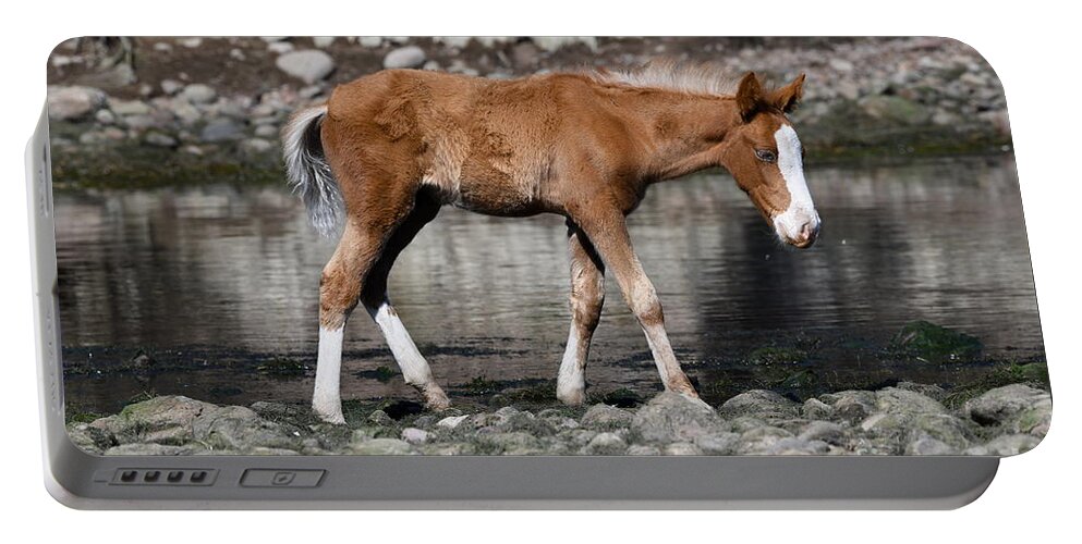 Salt River Wild Horses Portable Battery Charger featuring the digital art Salt River Wild Horses #9 by Tammy Keyes