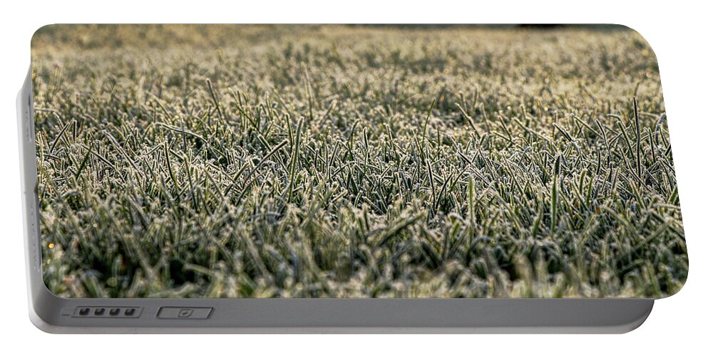 Environment Portable Battery Charger featuring the photograph Frozen green grass by Vaclav Sonnek