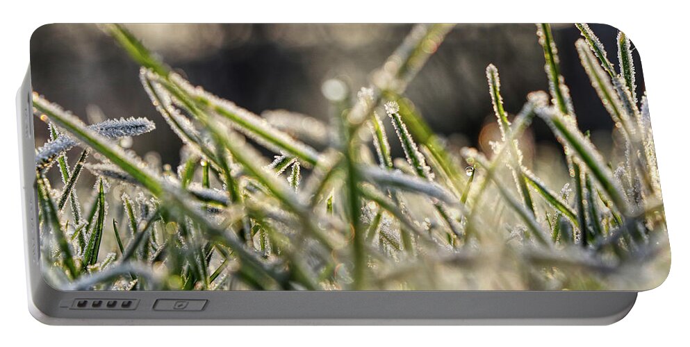 Environment Portable Battery Charger featuring the photograph Stems Of Grass On The Garden In Winter Months by Vaclav Sonnek