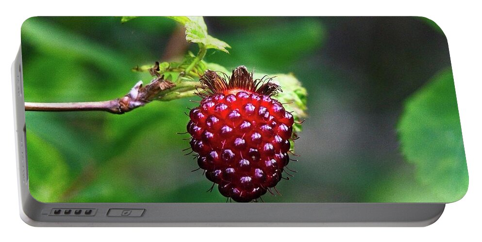 Alone Portable Battery Charger featuring the photograph A Berry Red Berry by David Desautel