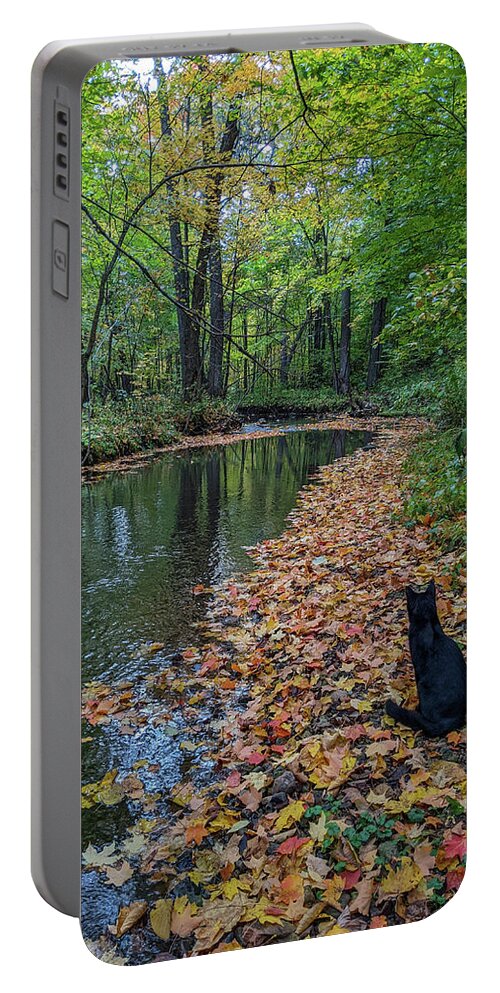 Black Cat Portable Battery Charger featuring the photograph A Bit of Magic in the Woods by Kimberly Mackowski