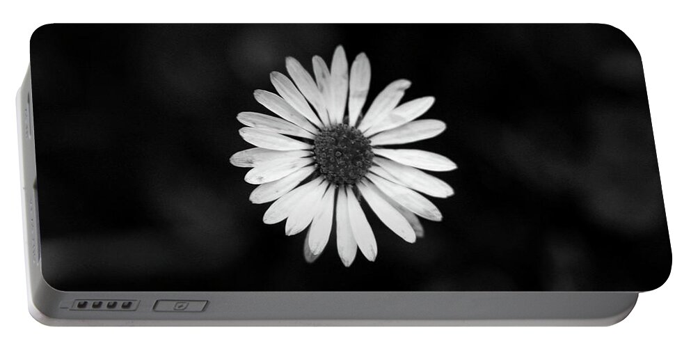 Bellis Perennis Portable Battery Charger featuring the photograph Black and white bloom of bellis perennis by Vaclav Sonnek