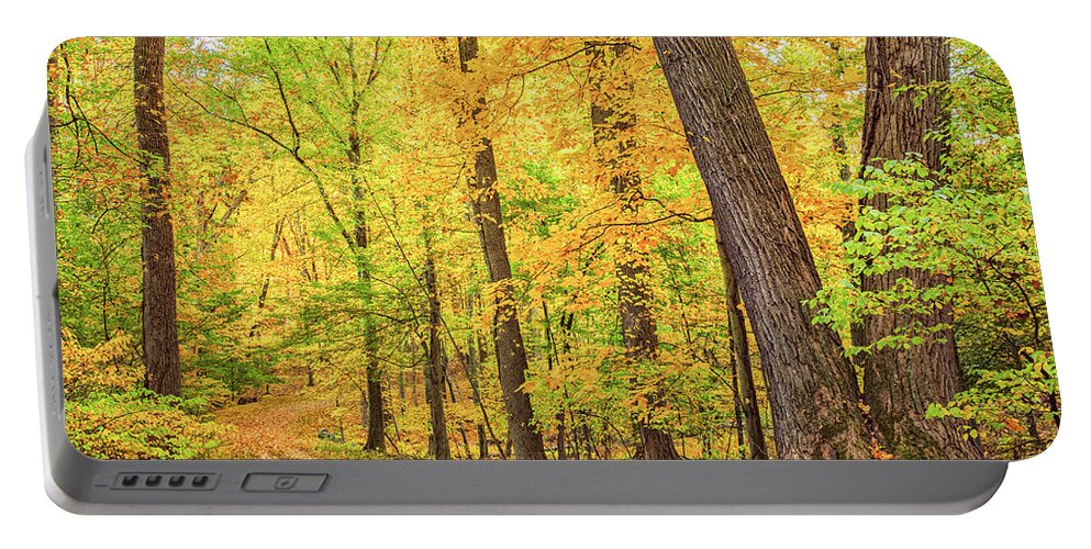 Fall Portable Battery Charger featuring the photograph A Carpet of Leaves by Marianne Campolongo
