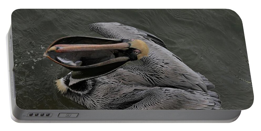 Pelicans Portable Battery Charger featuring the photograph A Catch of Three Fish by Mingming Jiang