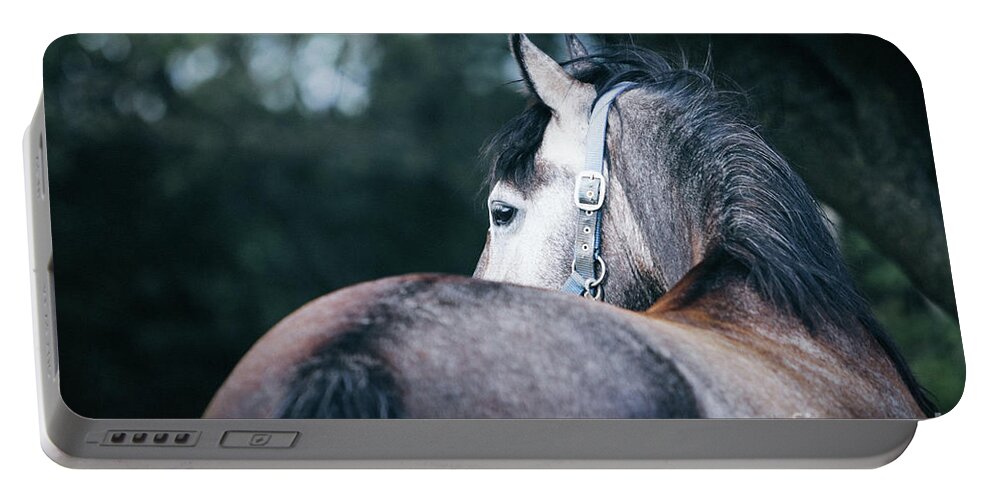 Horse Portable Battery Charger featuring the photograph A close-up portrait of horse profile in nature by Dimitar Hristov