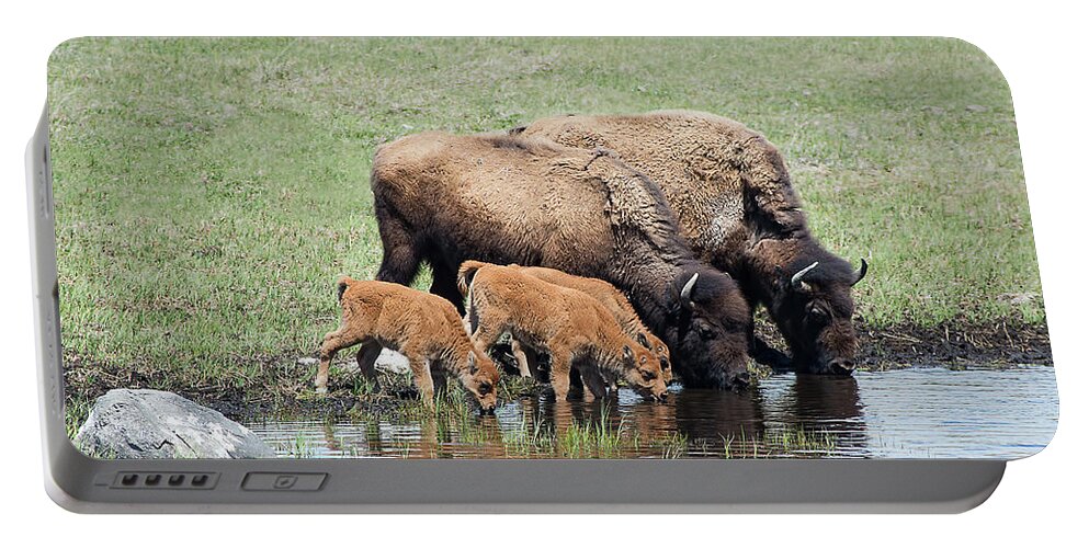 Bison Portable Battery Charger featuring the photograph A Convenient Stream by CR Courson