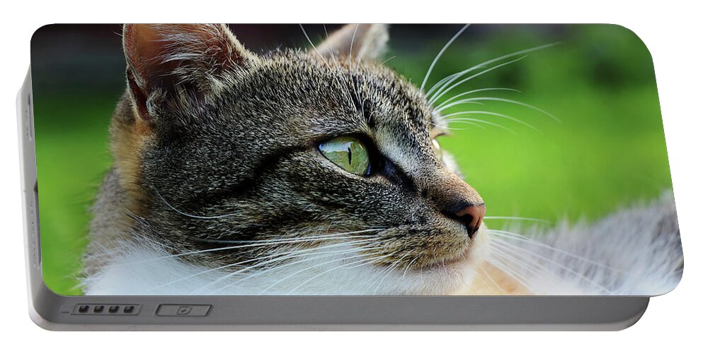 Golden Hour Portable Battery Charger featuring the photograph A domestic cat view looking away and lying in grass. Relaxing after hard day by Vaclav Sonnek