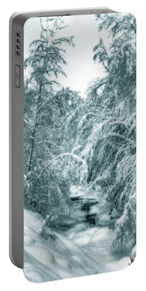 Horse Portable Battery Charger featuring the photograph A Drink from Halls Brook by Wayne King
