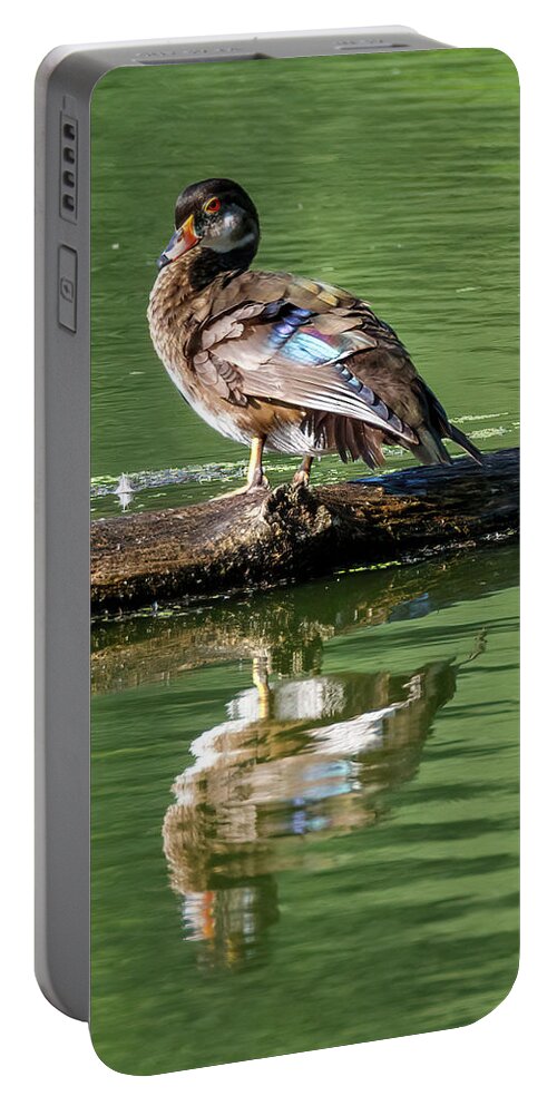 Duck Portable Battery Charger featuring the photograph A Duck by David Beechum