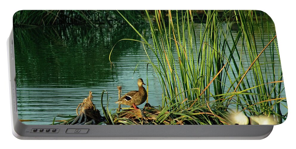 Ducks Portable Battery Charger featuring the photograph A Ducks Life by Angelo DeVal