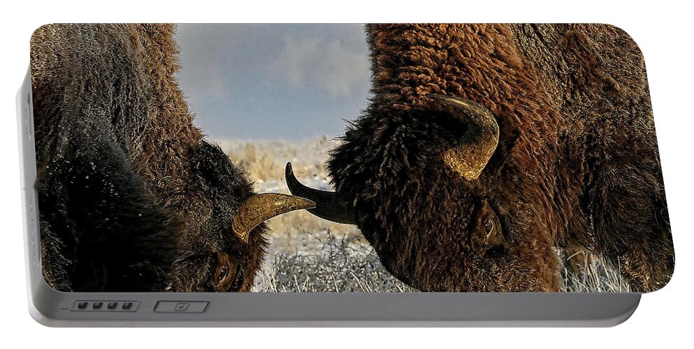 Winter Portable Battery Charger featuring the painting A fight Between Two Bison, American Buffalo in a Snow Fiel by Lena Owens - OLena Art Vibrant Palette Knife and Graphic Design