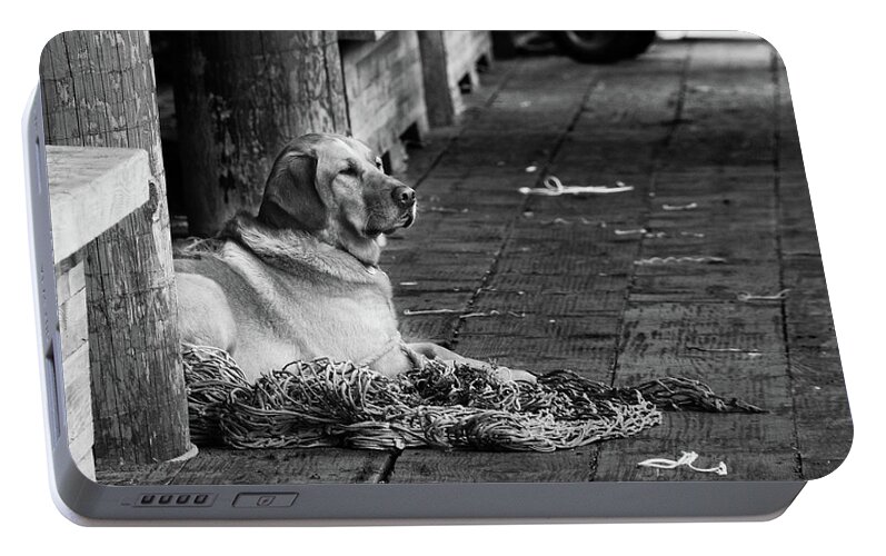 Dog Portable Battery Charger featuring the photograph A fisherman's best friend by Camilla Brattemark