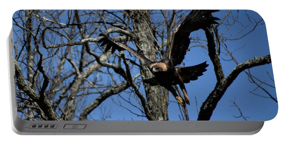 West Virginia Highlands  Portable Battery Charger featuring the photograph A Golden Moment by Randy Bodkins
