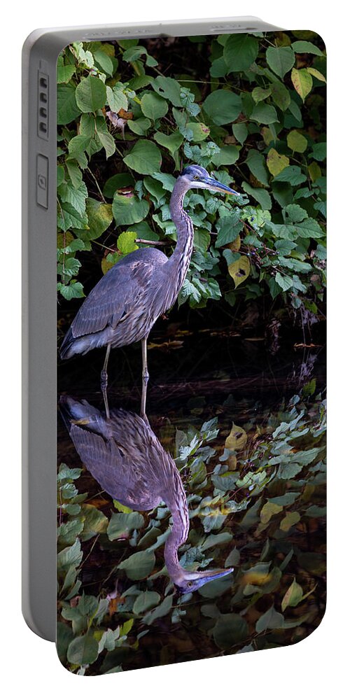 Bronx River Portable Battery Charger featuring the photograph A Great Blue Heron and Its reflection in the Bronx River by Kevin Suttlehan