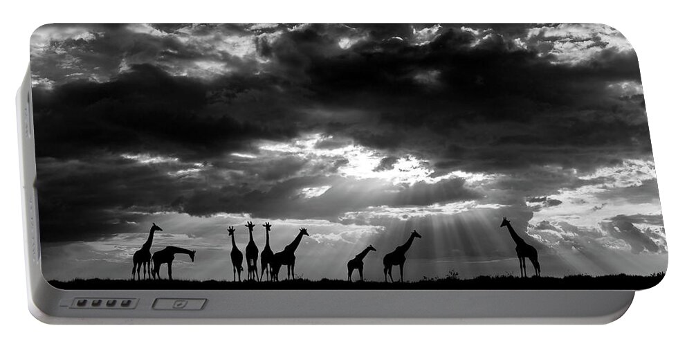Africa Portable Battery Charger featuring the photograph A herd of Masai Giraffe gathering at sunset in Tanzania by Stu Porter