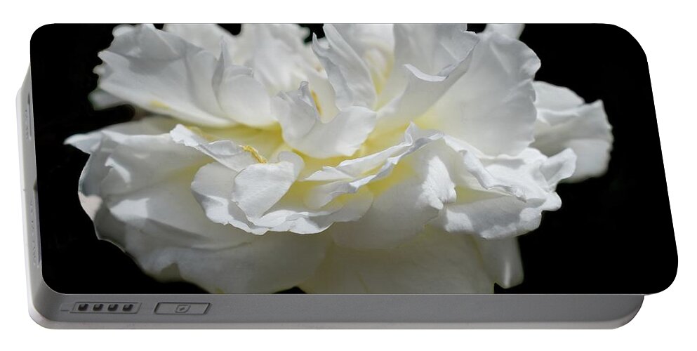Rose Portable Battery Charger featuring the photograph A Life Of One English Rose 2 by Leonida Arte