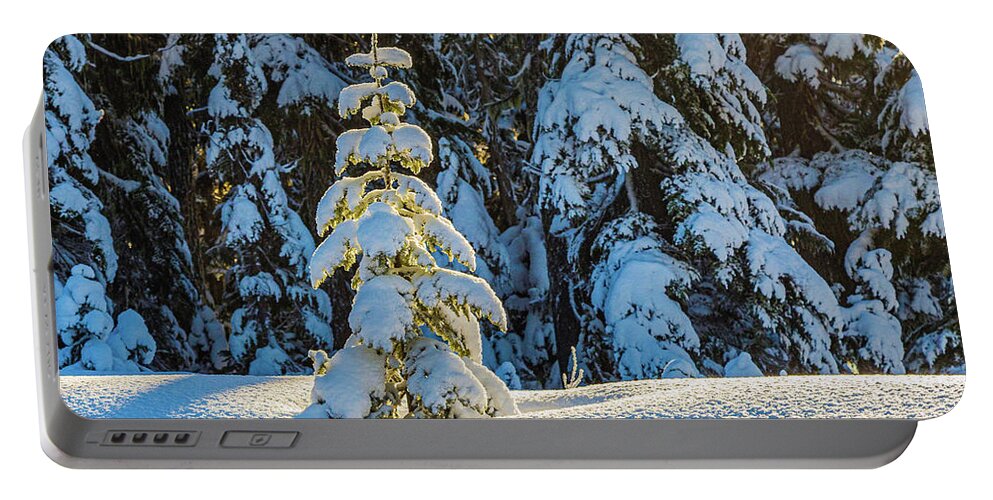 Landscapes Portable Battery Charger featuring the photograph A Little Christmas Tree by Claude Dalley