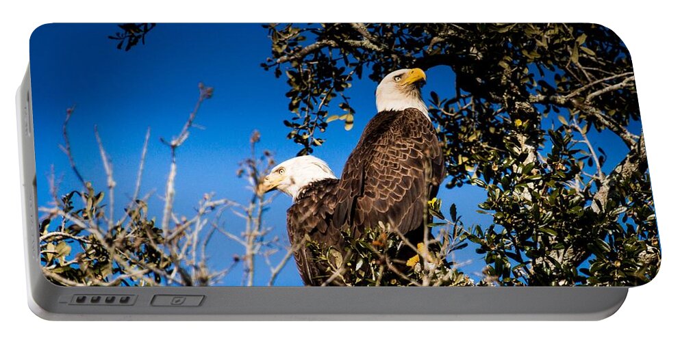 Bald Portable Battery Charger featuring the photograph A Magnificent Couple Of American Bald Eagles by Philip And Robbie Bracco