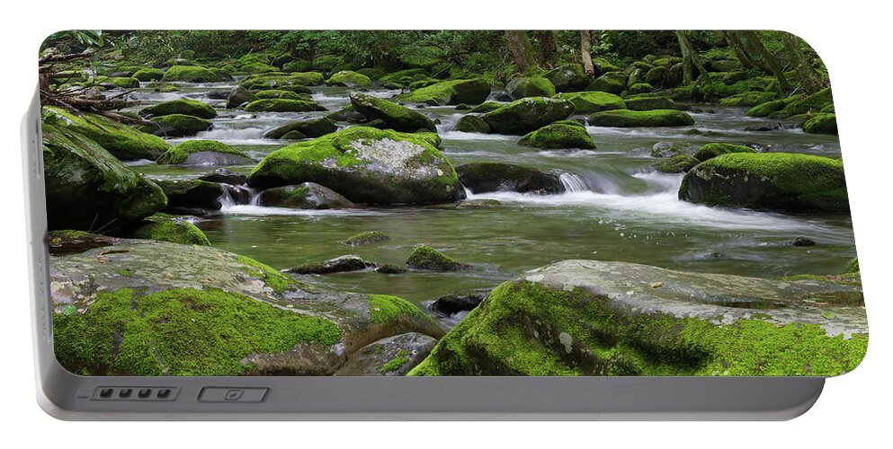 Smokies Portable Battery Charger featuring the photograph A Maze of Moss by Phil Perkins