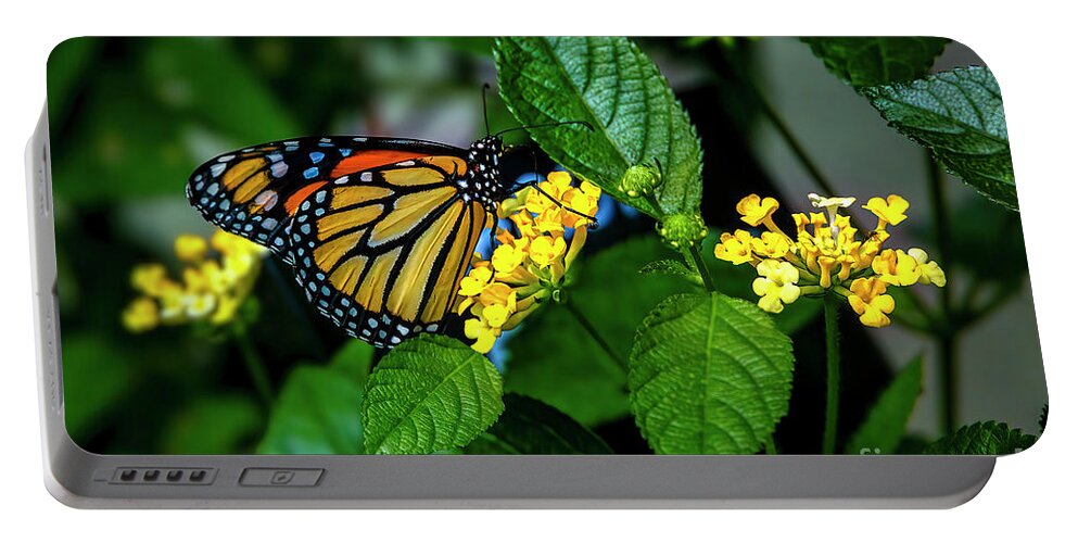 Monarch Portable Battery Charger featuring the photograph A Monarch and his Kingdom by Shelia Hunt