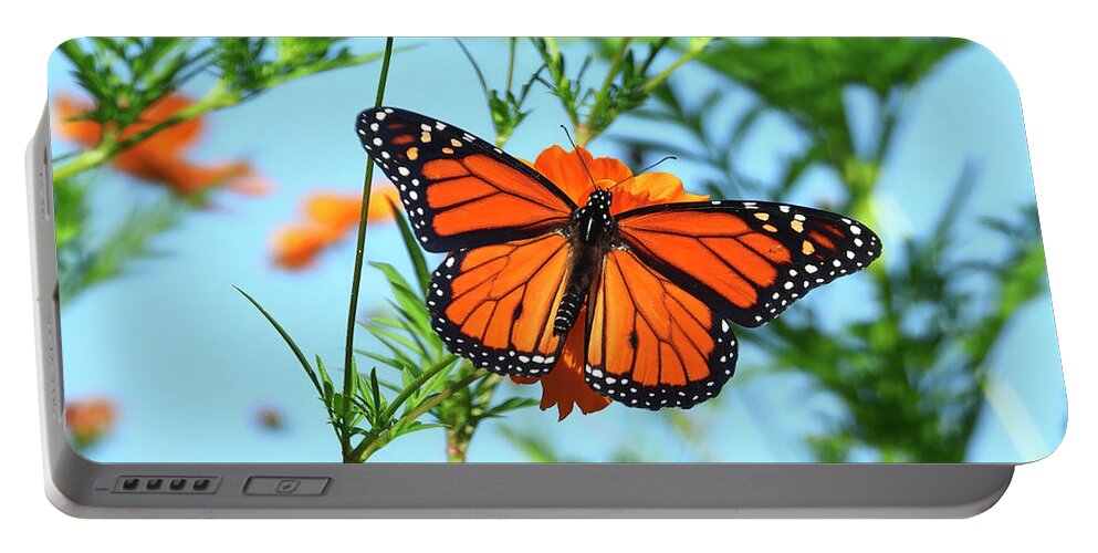 Monarch Portable Battery Charger featuring the photograph A Monarch Butterfly by Scott Cameron